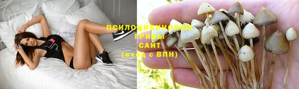 дурь Богданович