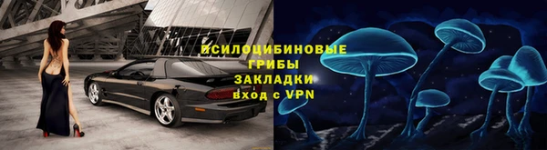прущие крисы Белокуриха