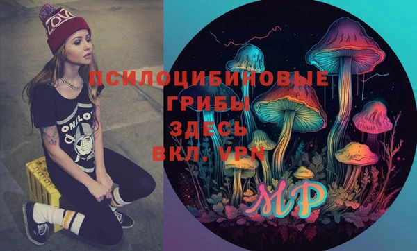 прущие крисы Белокуриха