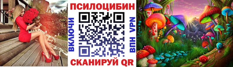 Галлюциногенные грибы ЛСД  Дудинка 